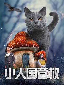 消失的娱乐家