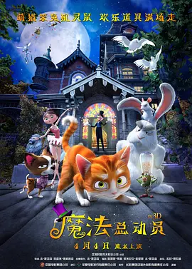 在线播放一区