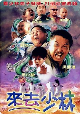 一级黄色蝶片