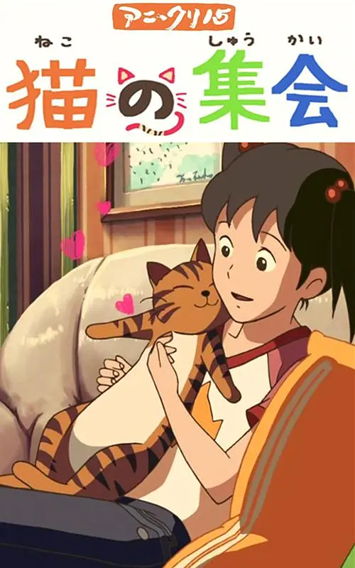 成人福利视频导航