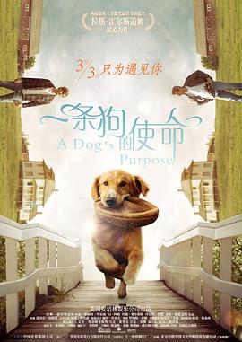久久er国产精品免费观看8