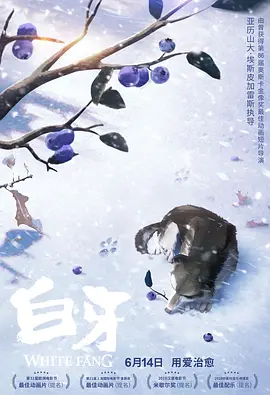 国内精品一区视频在线播放