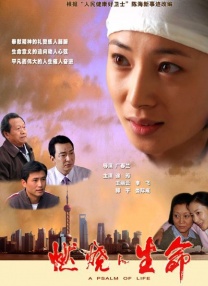 欧美一级视频在线观看