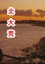 精品国产一区二区三区在线